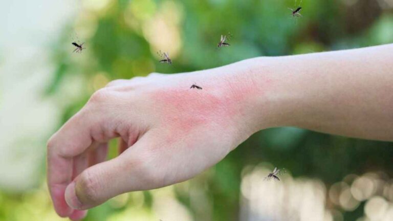 jujuy-supero-los-10.000-casos-confirmados-de-dengue