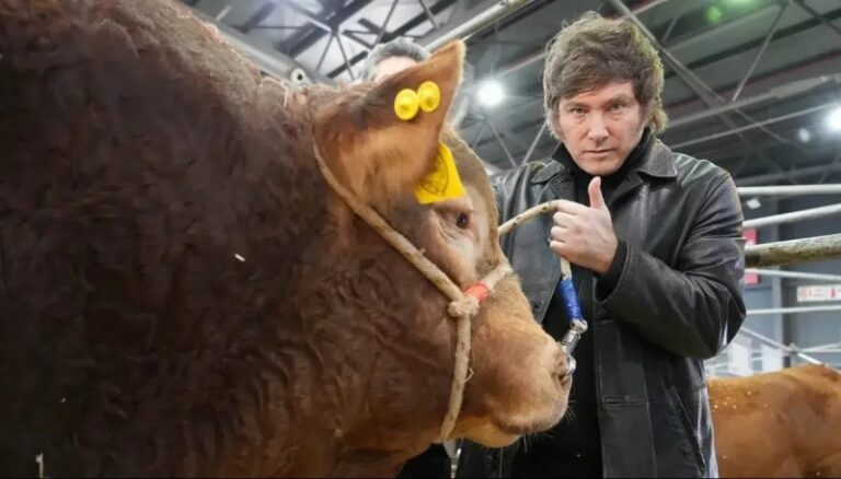 Duro comunicado del campo contra Javier Milei: «Está asfixiando al sector»