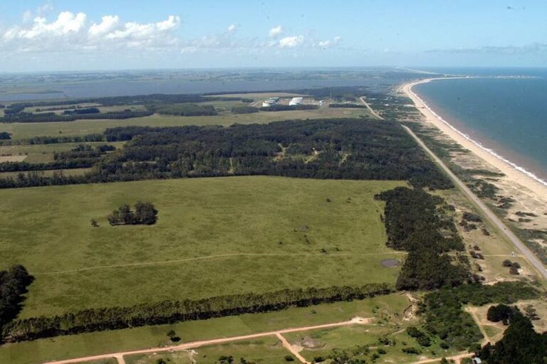 En un hotel de Punta del Este: subastan hoy las propiedades de Lázaro Báez en Uruguay