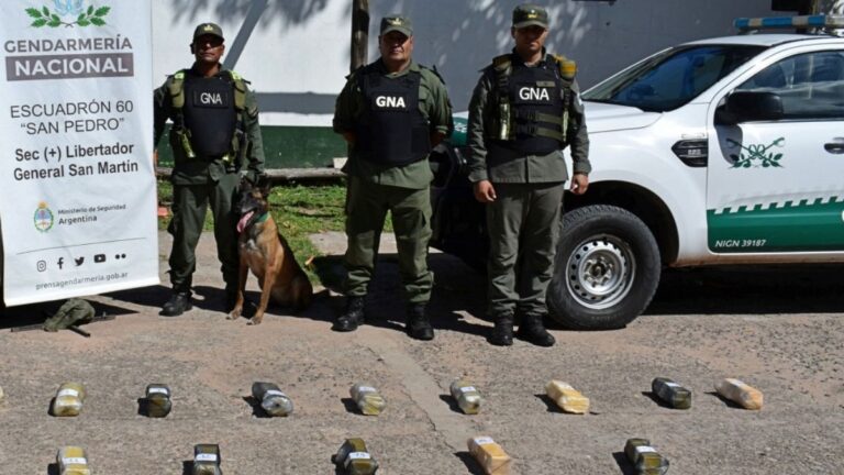 Decomisaron 16 kilos de cocaína ocultos en el tanque de un vehículo