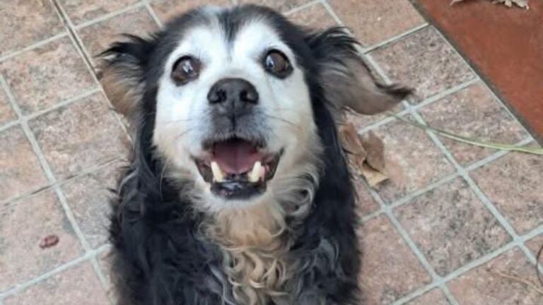 Buscan a «Tiki» en barrio San Pedrito