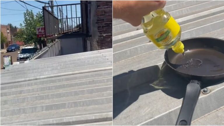 Insólito: un joven fritó una milanesa en el techo de su casa durante la ola de calor