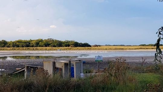 Se seca la laguna Los Horcones en Madariaga