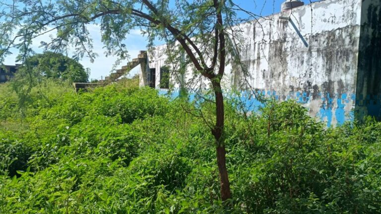 La ex Alcaidía de Las Tipas en estado de total abandono