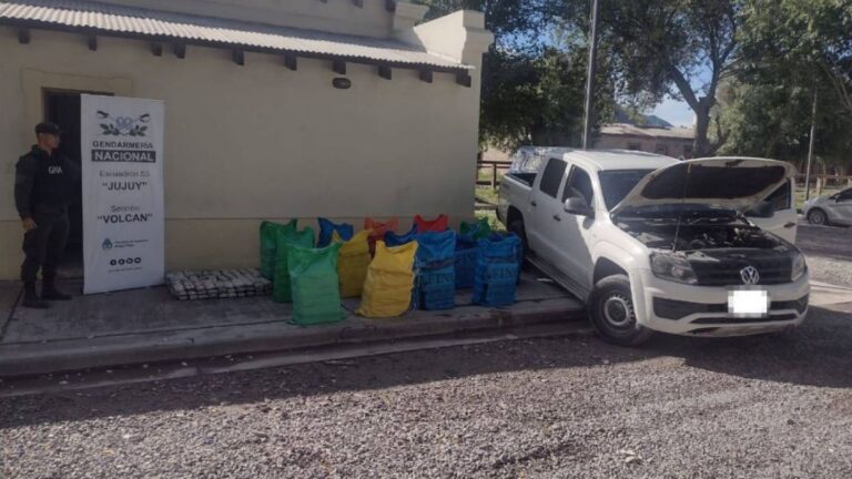 Decomisaron 392 kg. de hoja de coca en una camioneta que intentó fugarse
