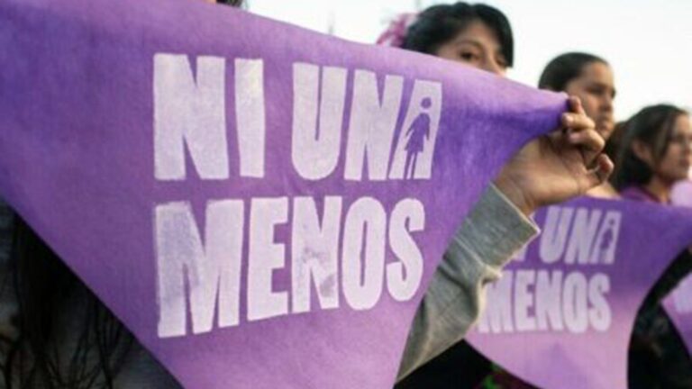 Polémica por el video del Gobierno que asegura la baja en «homicidios de mujeres»: es real el dato?