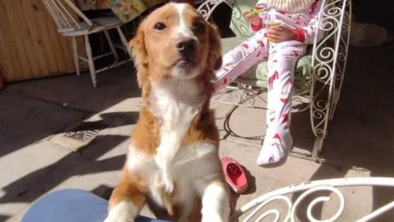 Barrio Alto Comedero: ofrecen recompensa por hallar a «Carlita»