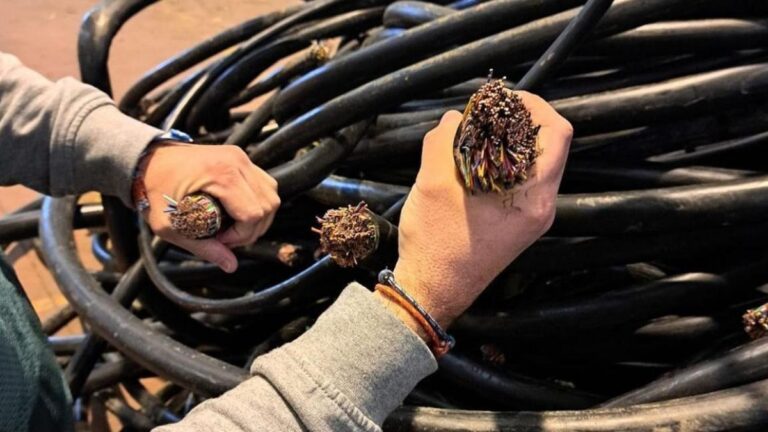 Robaron más de mil metros de cables con cobre de una empresa telefónica