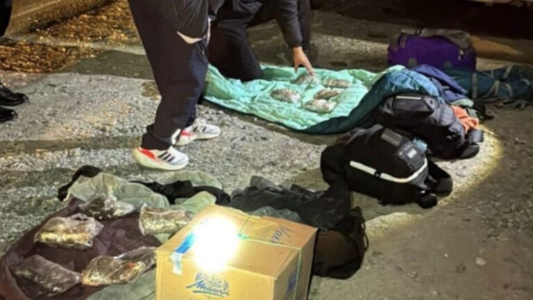 Secuestraron marihuana y celulares en un colectivo que salió de Jujuy