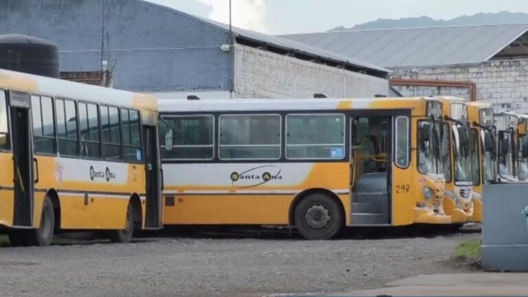 Colectivos en la ciudad: los horarios por el Día del Trabajador