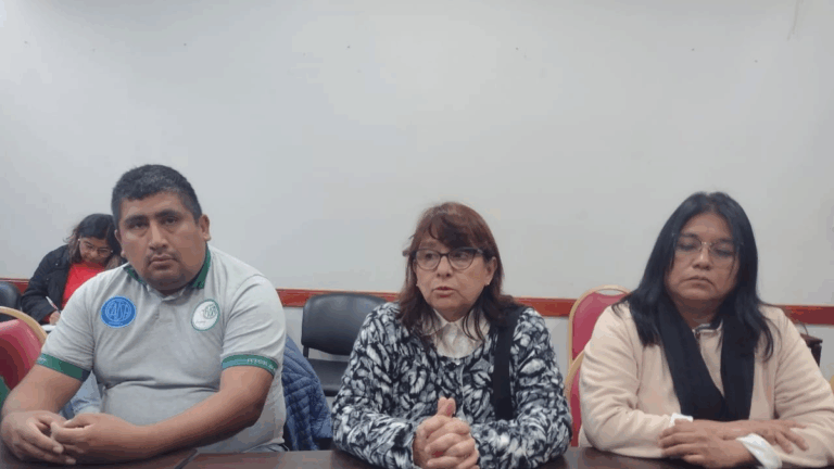 Trabajadores de la sanidad plantearon sus necesidades en la Legislatura