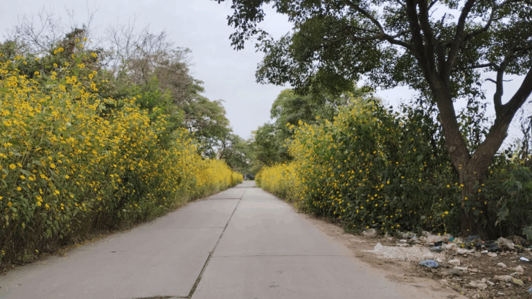 Martijena, un barrio olvidado por el municipio de Palpalá