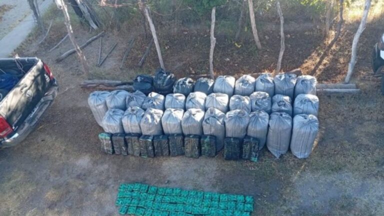 Salieron de Jujuy transportando 757 kilos de hojas de coca en una camioneta