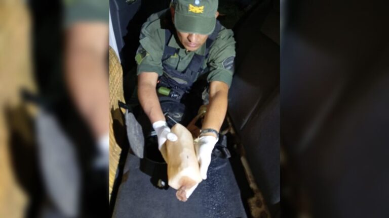 Libertador: con la ayuda del perro de la Fuerza, detectaron casi 20 kilos de cocaína