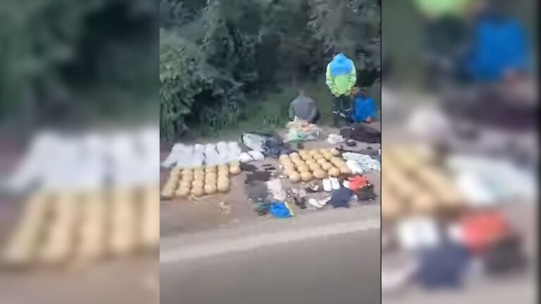 Calilegua: cuatro detenidos por el traslado de 78 kilos de marihuana