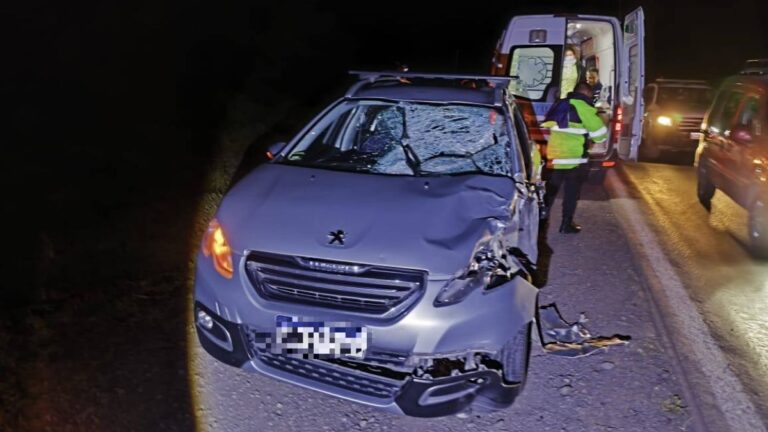 Automóvil embistió un caballo suelto en la Ruta 34 y su conductor fue internado