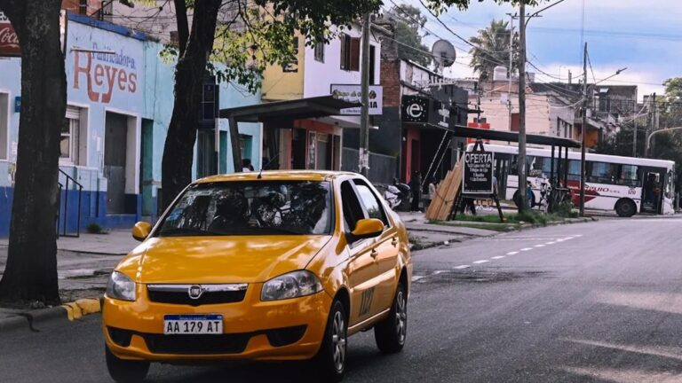 Lunes feriado nacional: conocé cómo funcionan los servicios