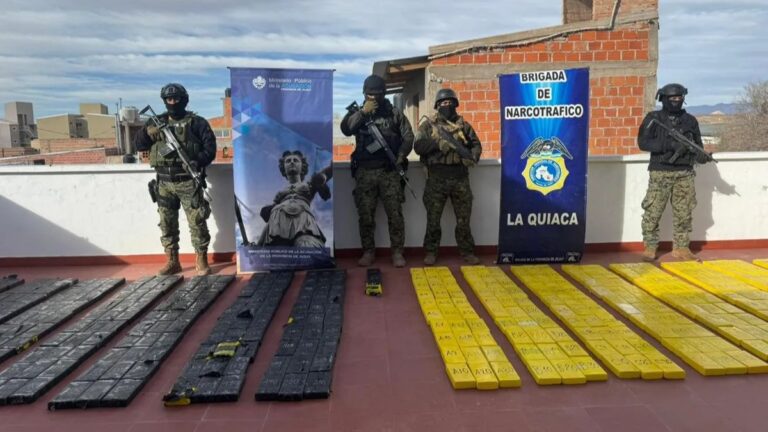 Fuerte interna por el secuestro de 500 kilos de cocaína: «Es de una gravedad inusitada»