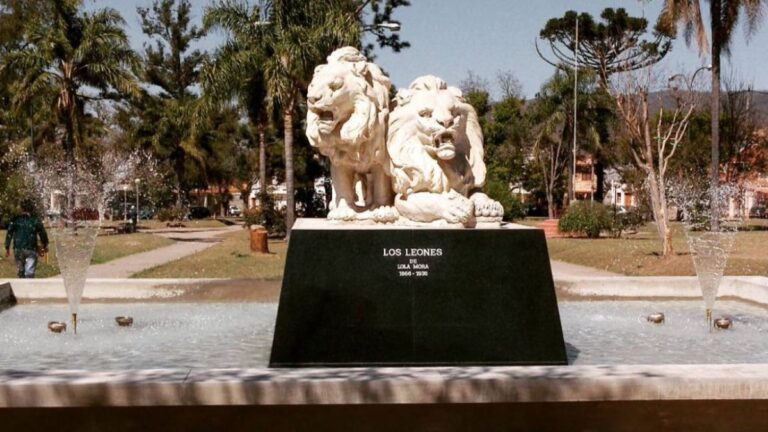 Vecinos de Ciudad de Nieva piden que «no encierren a los leones»