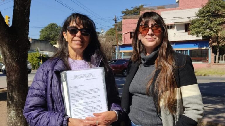 Vecinos volvieron a pedir que no se lleven los Leones de la Plaza de Ciudad de Nieva