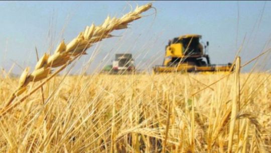 El restablecimiento de las retenciones agrícolas le abre otro frente interno al Gobierno