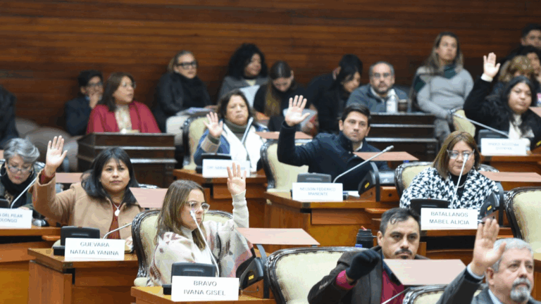 Tomó estado parlamentario el proyecto para la creación del Consejo de la Magistratura