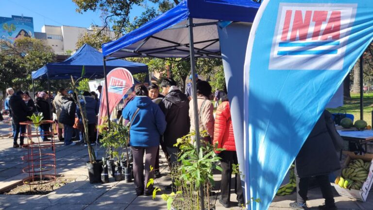 INTA Jujuy en alerta por posibles cierres y despidos