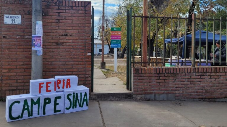 Pequeños productores agrícolas contundentes: «Del gobierno nunca hemos recibido nada»
