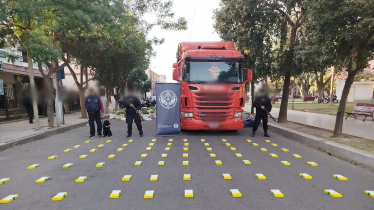 Transportista salió de Jujuy con 85 kilos de cocaína ocultos entre bananas y papaya