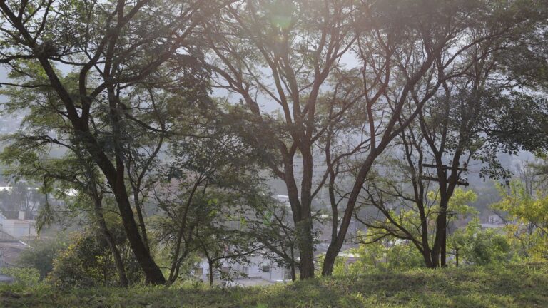 Se vienen días de más de 30C en la capital jujeña