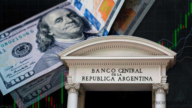 El mercado pide urgente que el BCRA deje de quemar reservas y que le suelte la mano al dólar