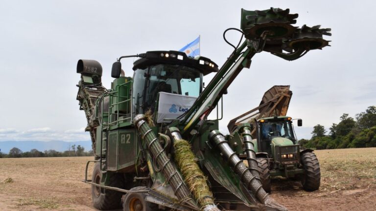 Ledesma finalizó su zafra 2025