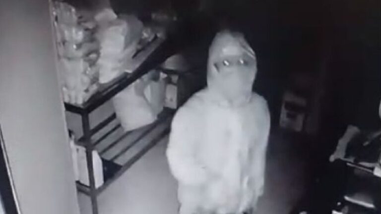 Rompió la ventana de un local, ingresó y se apoderó de un millón de pesos