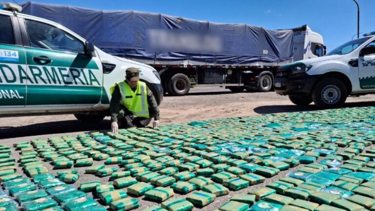 Salió de Jujuy rumbo a Chile con un carga de más de 300 kilos de hojas de coca