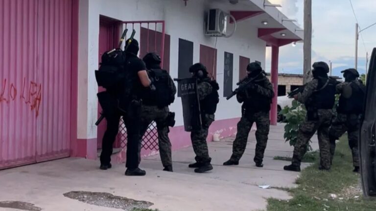 Detuvieron a dos personas y recuperaron elementos robados de la Feria Mayorista de Perico