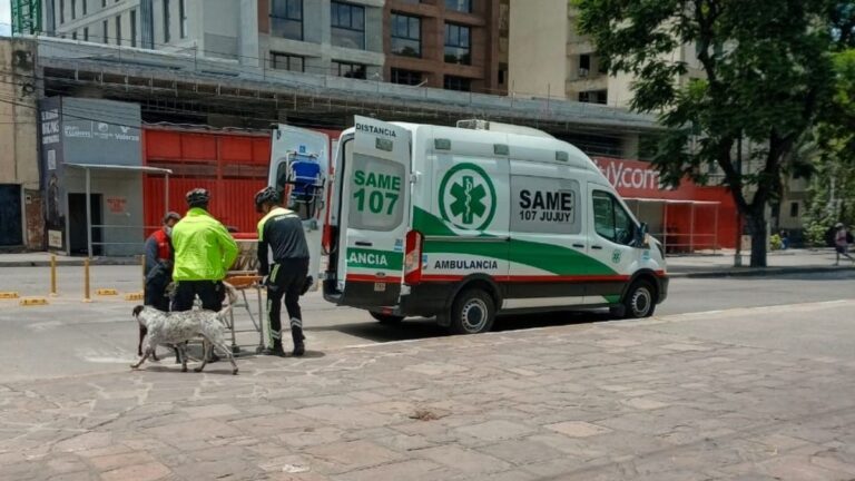 Encontraron a un hombre inconsciente en una banca del Parque  Xibi Xibi