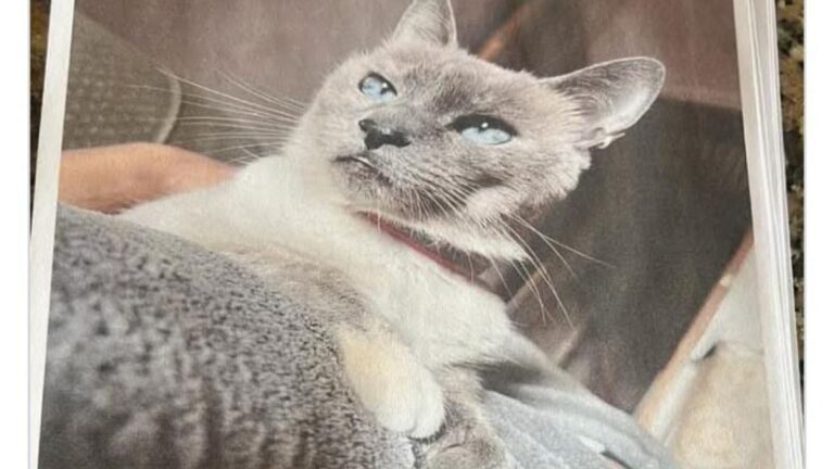 Barrio San Pedrito: $300 mil de recompensa por «Simona»