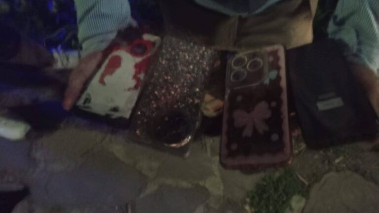 Cuatro «mecheras» detenidas por el robo de celulares en la Cena Blanca de Palpalá