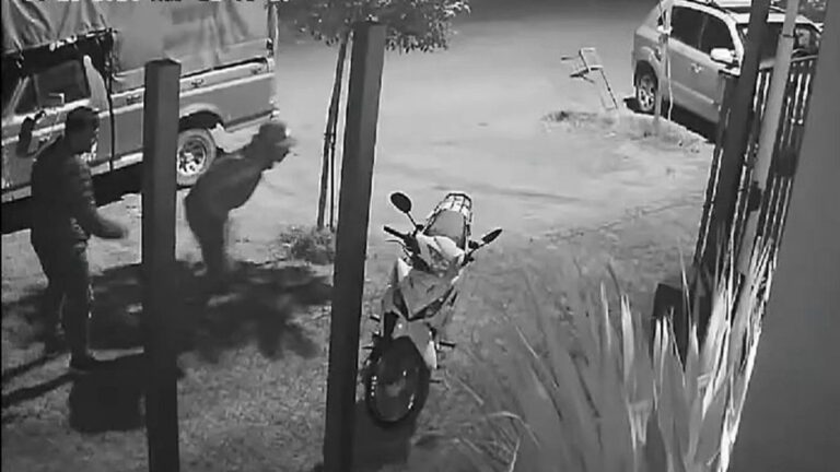 Le robaron la moto en un evento bailable y los organizadores se desligaron del hecho