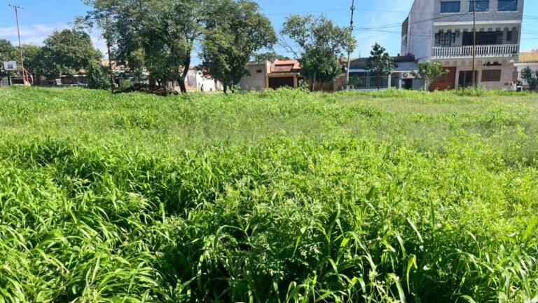 «El intendente Rivarola debería estar presente en cada barrio»