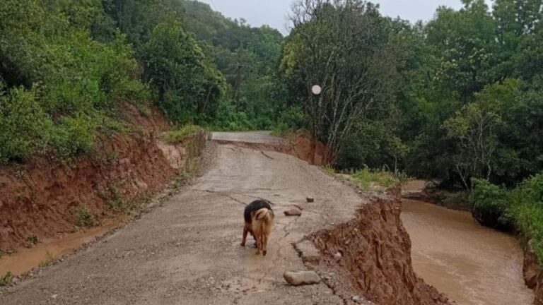Fuertes lluvias provocaron cortes y complicaciones en rutas de Jujuy