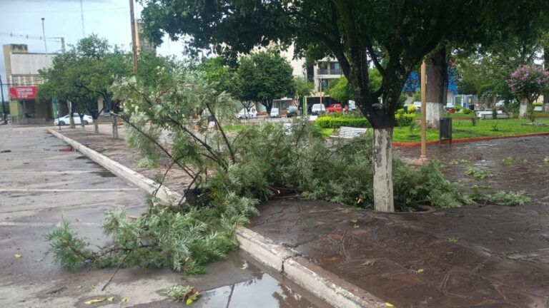 Fuerte tormenta en Perico: Defensa Civil desplegó operativos por calles anegadas y postes caídos
