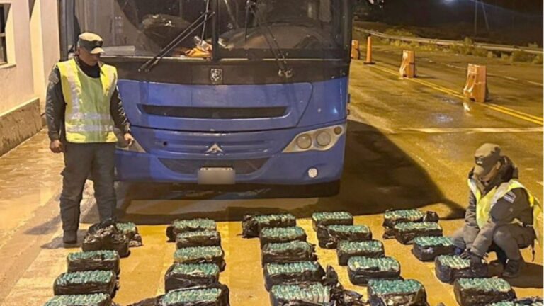 Detectaron anomalías en el piso de un colectivo y hallaron 200 kilos de hojas de coca