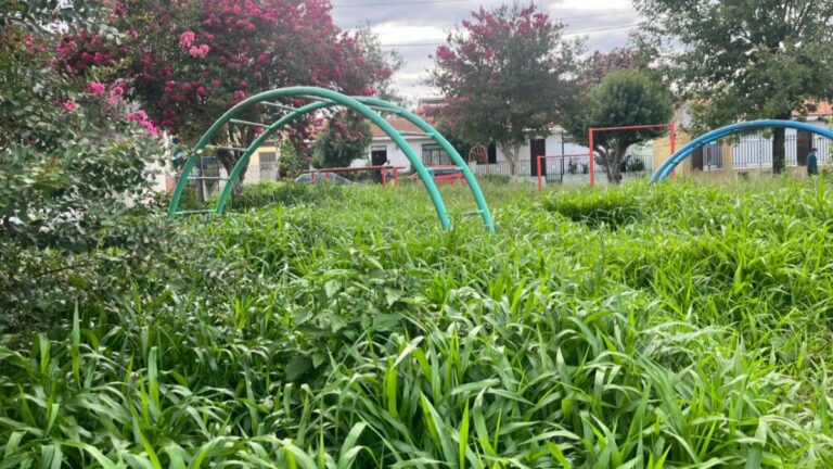 Vecinos de Epam III reclaman: «No es una plazoleta, es una selva»