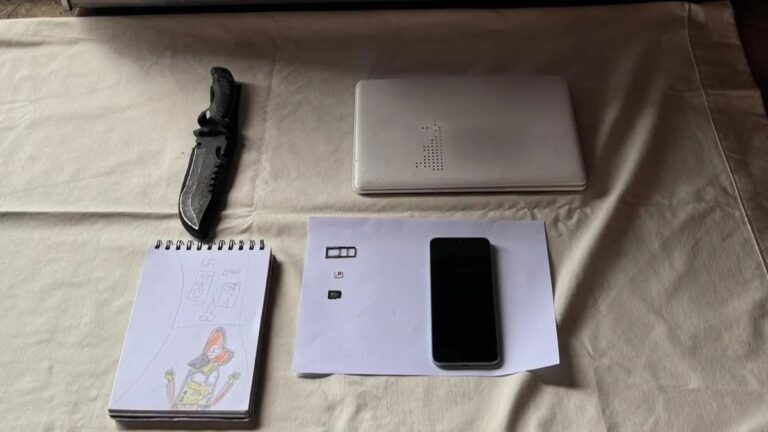 Sospechan que adultos radicalizaron a los menores que planeaban ataques a escuelas