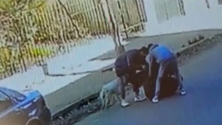 Golpearon e intentar arrojar a un río a un joven parar robarle sus pertenencias