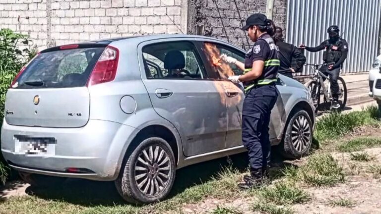 Rápida respuesta policial frente al robo de un auto en Alto Comedero