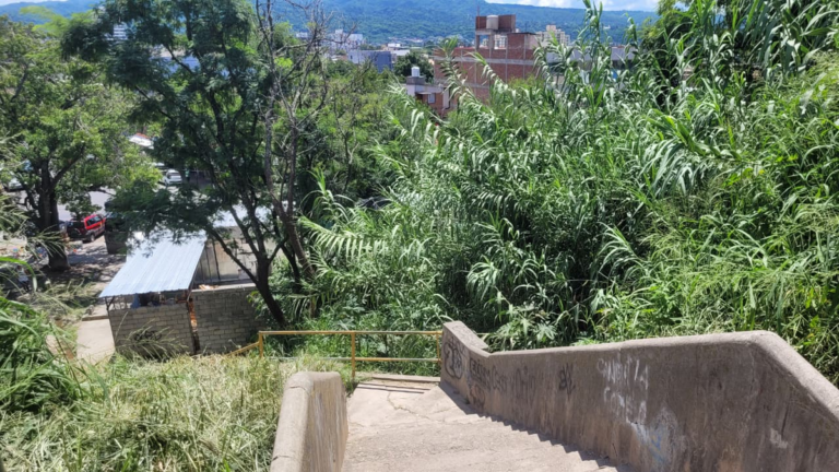 Las escaleras de Av. Éxodo en la mira: inseguridad y repletas de maleza