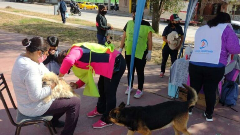 Nueva semana con vacunación antirrábica y castraciones en la capital jujeña