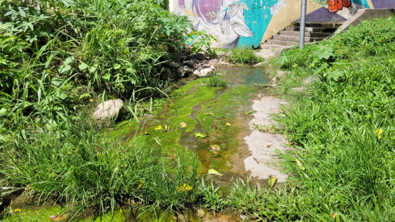 Las escaleras que suben a Alto Castañeda, otro punto de abandono e inseguridad